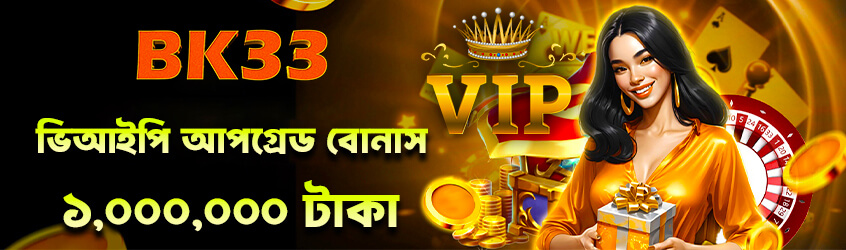 BK33 banner 06